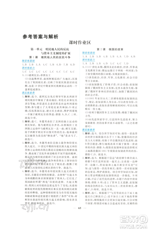 青海人民出版社2023新坐标同步练习九年级下册历史人教版青海专用参考答案