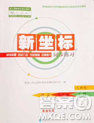 青海人民出版社2023新坐标同步练习九年级下册语文人教版青海专用参考答案