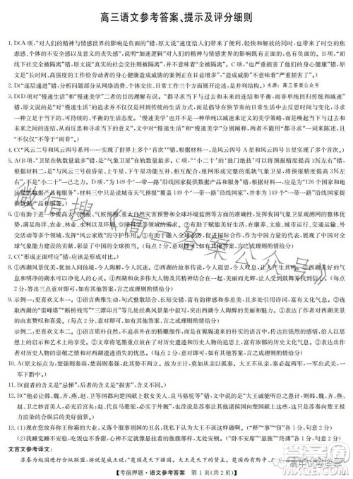 2023年九师联盟5月考前押题高三语文试卷答案 2023年九师联盟5月考前押题高三语文试卷答案