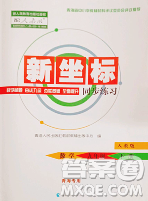 青海人民出版社2023新坐标同步练习九年级下册数学人教版青海专用参考答案