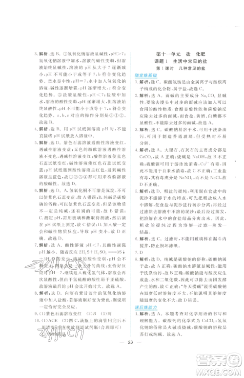 青海人民出版社2023新坐标同步练习九年级下册化学人教版青海专用参考答案