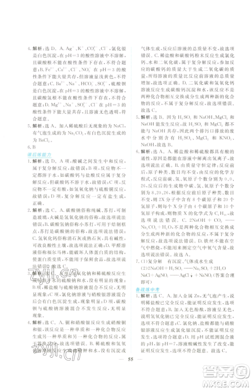 青海人民出版社2023新坐标同步练习九年级下册化学人教版青海专用参考答案