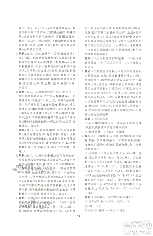 青海人民出版社2023新坐标同步练习九年级下册化学人教版青海专用参考答案