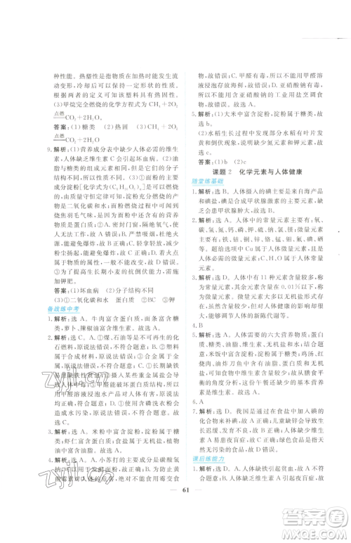 青海人民出版社2023新坐标同步练习九年级下册化学人教版青海专用参考答案