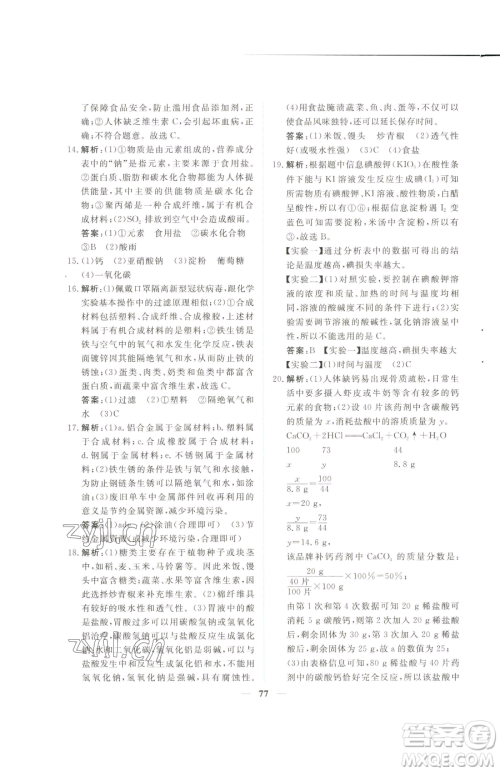 青海人民出版社2023新坐标同步练习九年级下册化学人教版青海专用参考答案