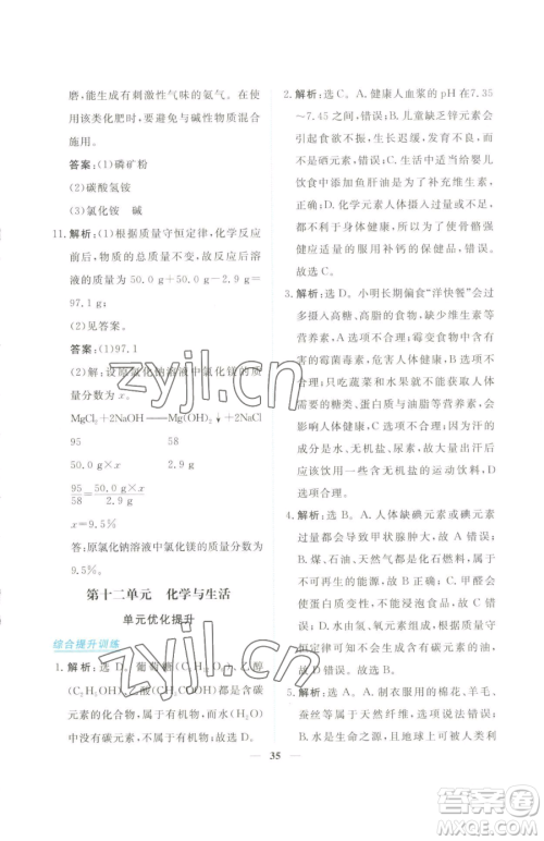青海人民出版社2023新坐标同步练习九年级下册化学人教版青海专用参考答案