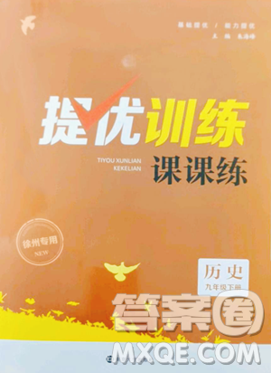南京大学出版社2023提优训练课课练九年级下册历史人教版徐州专版参考答案