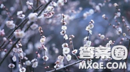 不该丢失的坚强作文600字 关于不该丢失的坚强为题目作文600字