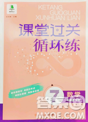 北方妇女儿童出版社2023课堂过关循环练七年级下册数学人教版参考答案 北方妇女儿童出版社2023课堂过关循环练七年级下册数学人教版参考答案