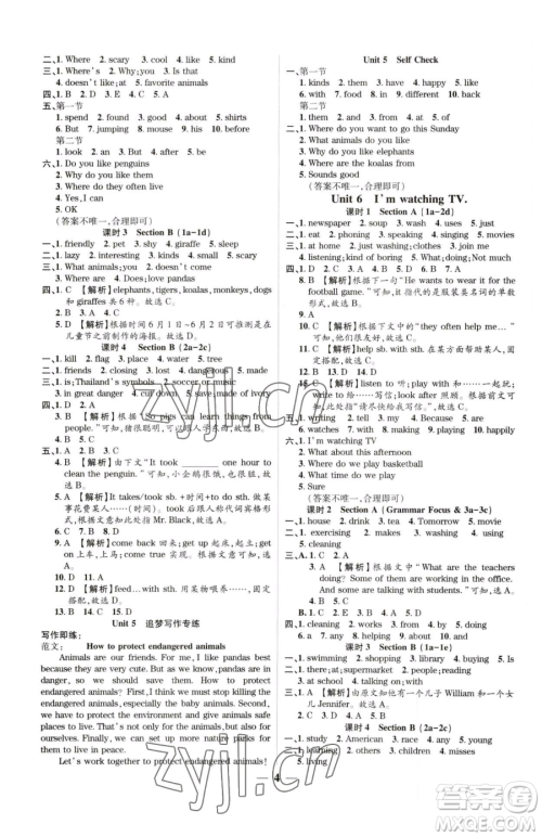 天津科学技术出版社2023追梦之旅大先生七年级下册英语人教版河南专版参考答案