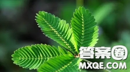 十五岁我多了一份___为题作文600字 关于十五岁我多了一份___为题的作文600字