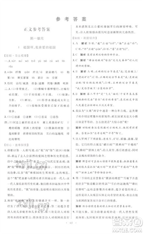 内蒙古教育出版社2023初中同步学习目标与检测九年级语文下册人教版参考答案