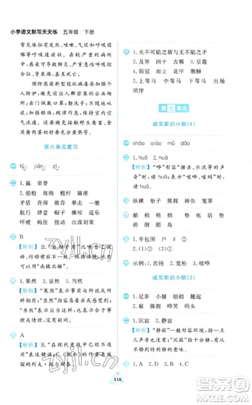 新世纪出版社2023小学语文默写天天练五年级下册人教版参考答案