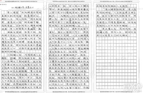 油画与国画材料作文800字 关于油画与国画的材料作文800字