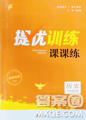 南京大学出版社2023提优训练课课练八年级下册历史人教版徐州专版参考答案