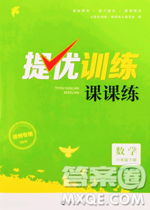 南京大学出版社2023提优训练课课练八年级下册数学苏科版徐州专版参考答案