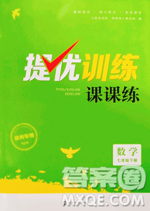 南京大学出版社2023提优训练课课练七年级下册数学苏科版徐州专版参考答案