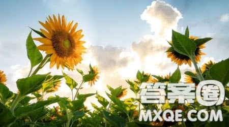 有一种力量从未消逝为题作文600字 关于有一种力量从未消逝为题的作文600字 有一种力量从未消逝为题作文600字 关于有一种力量从未消逝为题的作文600字