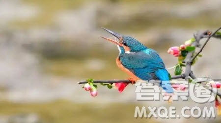 那一段___的时光为题的作文600字 关于那一段___的时光为题的作文600字 那一段___的时光为题的作文600字 关于那一段___的时光为题的作文600字