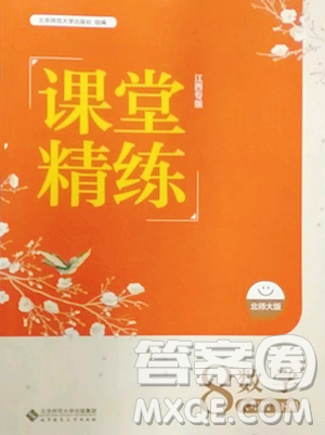 北京师范大学出版社2023课堂精练八年级下册数学北师大版江西专版参考答案
