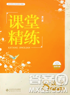 北京师范大学出版社2023课堂精练八年级下册数学北师大版双色版参考答案