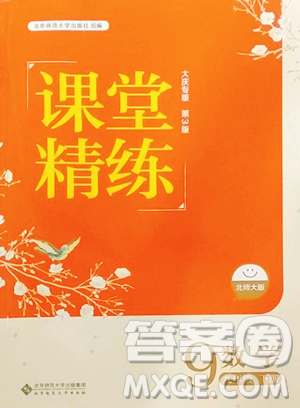 北京师范大学出版社2023课堂精练九年级下册数学北师大版大庆专版参考答案