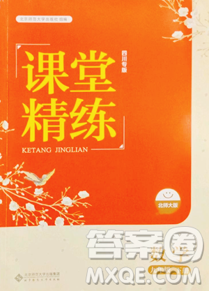 北京师范大学出版社2023课堂精练九年级下册数学北师大版四川专版参考答案 北京师范大学出版社2023课堂精练九年级下册数学北师大版四川专版参考答案