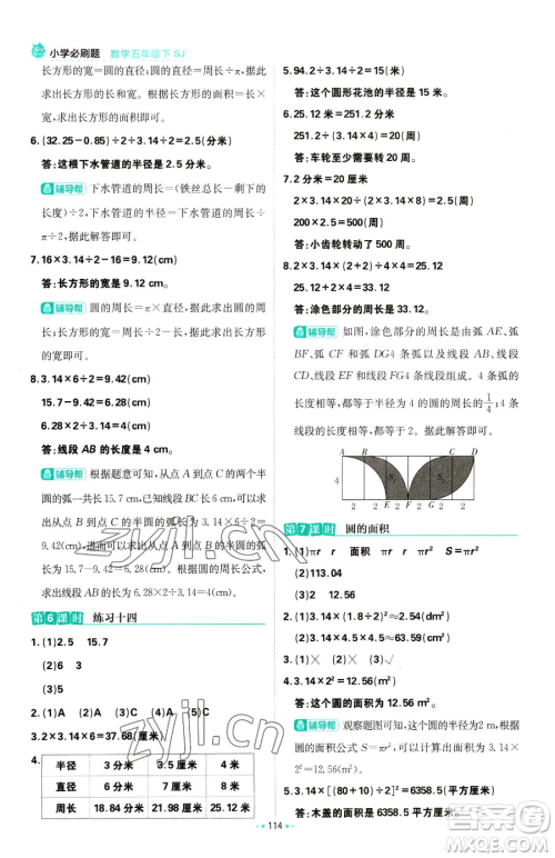 首都师范大学出版社2023小学必刷题五年级下册数学苏教版参考答案