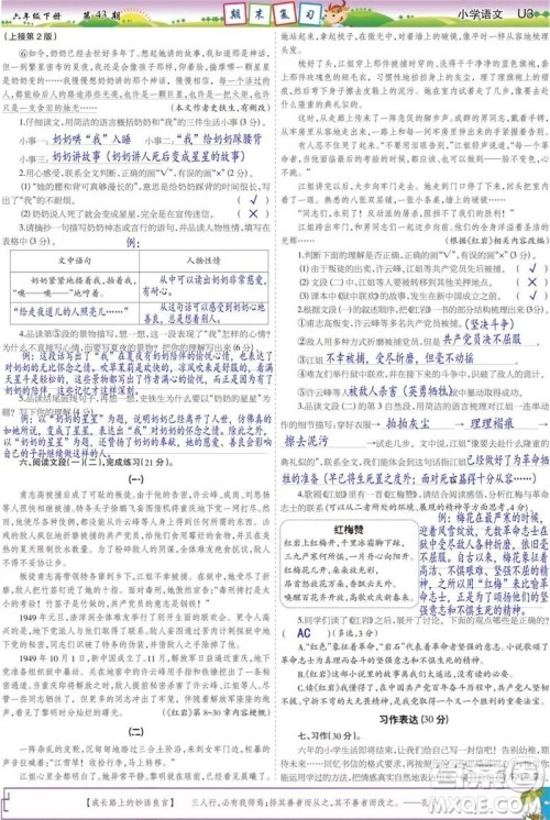 2023年春少年智力开发报六年级语文下册统编版第43-46期答案 2023年春少年智力开发报六年级语文下册统编版第43-46期答案