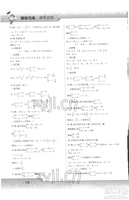 北方妇女儿童出版社2023精析巧练课时达标七年级下册数学人教版参考答案