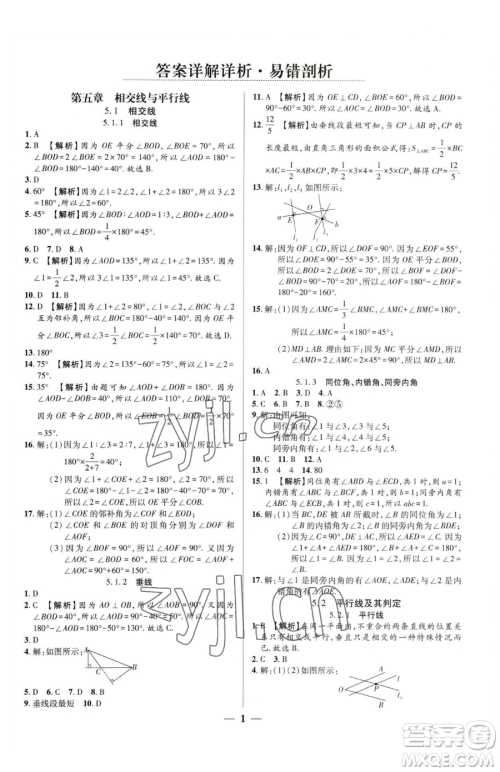 天津科学技术出版社2023追梦之旅大先生七年级下册数学人教版河南专版参考答案