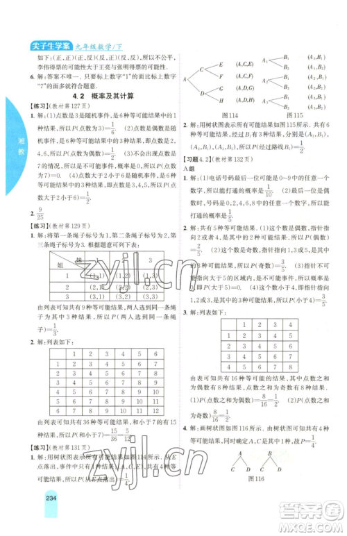 吉林人民出版社2023尖子生学案九年级下册数学湘教版参考答案