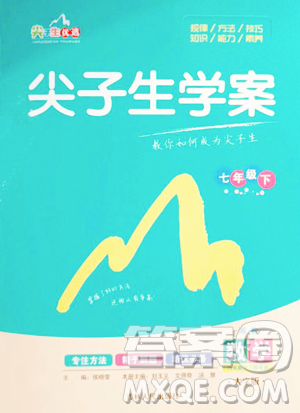 吉林人民出版社2023尖子生学案七年级下册数学湘教版参考答案