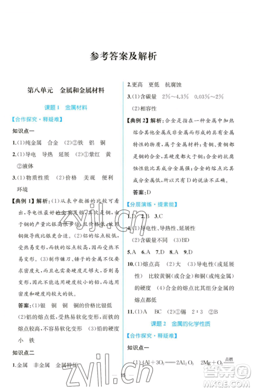 人民教育出版社2023同步解析与测评九年级下册化学人教版云南专版参考答案
