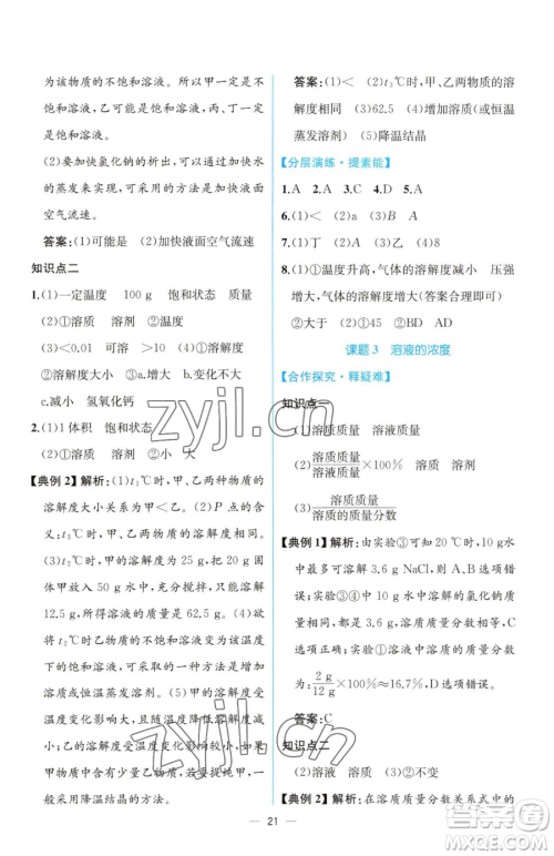人民教育出版社2023同步解析与测评九年级下册化学人教版云南专版参考答案