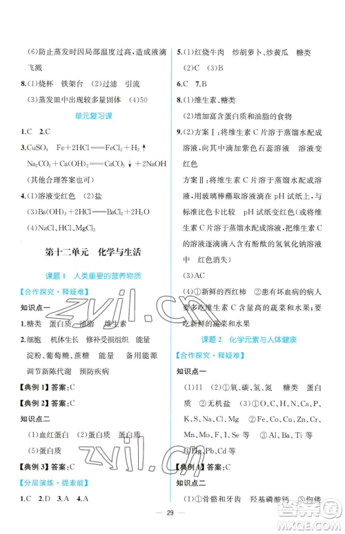 人民教育出版社2023同步解析与测评九年级下册化学人教版云南专版参考答案