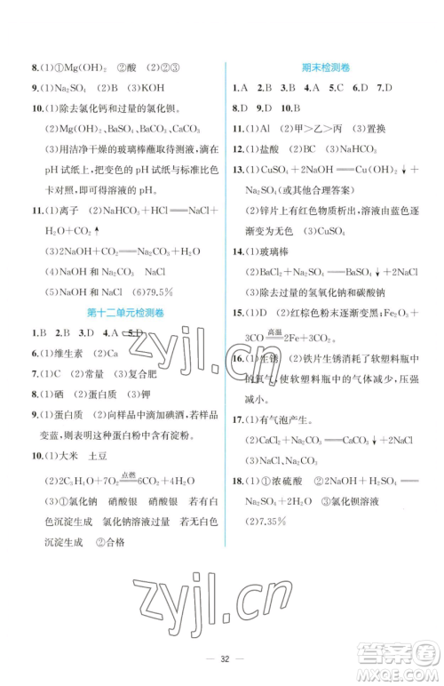 人民教育出版社2023同步解析与测评九年级下册化学人教版云南专版参考答案