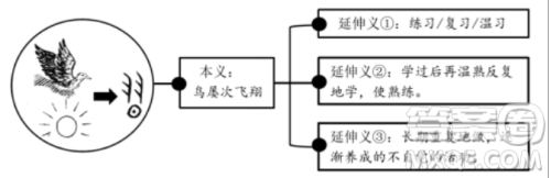 习为题作文600字  关于习为题目的作文600字