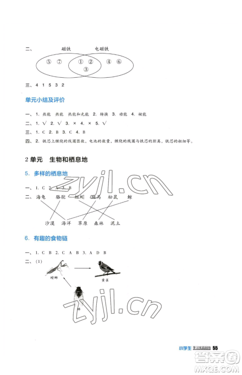 四川教育出版社2023新课标小学生学习实践园地六年级下册科学苏教版参考答案