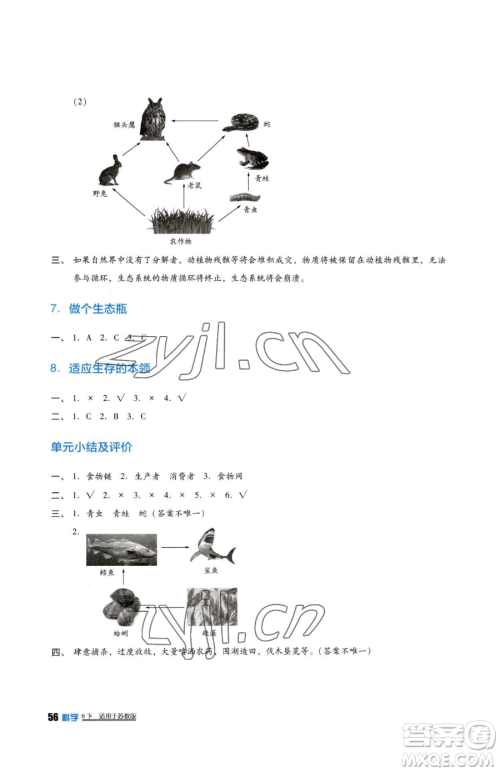 四川教育出版社2023新课标小学生学习实践园地六年级下册科学苏教版参考答案