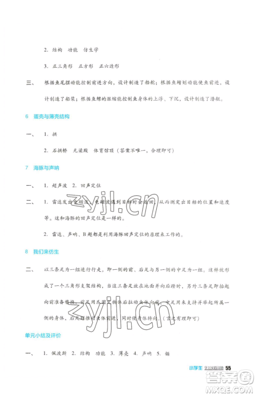 四川教育出版社2023新课标小学生学习实践园地五年级下册科学苏教版参考答案