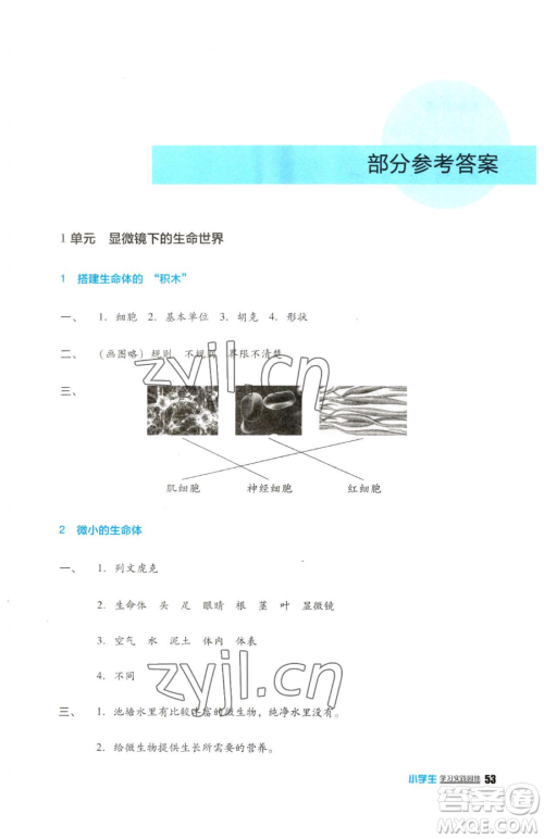 四川教育出版社2023新课标小学生学习实践园地五年级下册科学苏教版参考答案