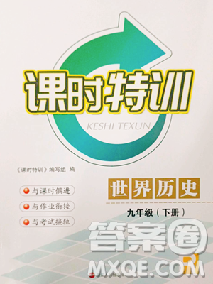 浙江人民出版社2023课时特训九年级下册历史人教版参考答案