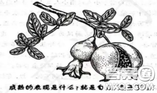 成熟的表现是什么就是自己想开了材料作文800字 关于成熟的表现是什么就是自己想开了的材料作文800字 成熟的表现是什么就是自己想开了材料作文800字 关于成熟的表现是什么就是自己想开了的材料作文800字