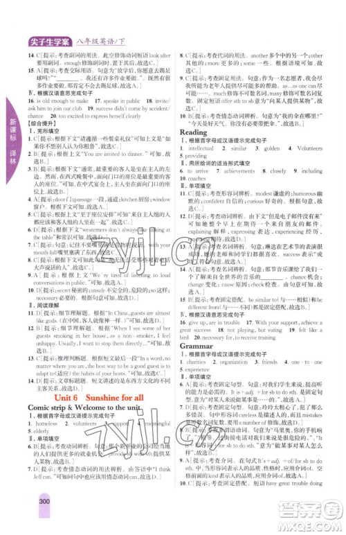 吉林人民出版社2023尖子生学案八年级下册英语译林版参考答案