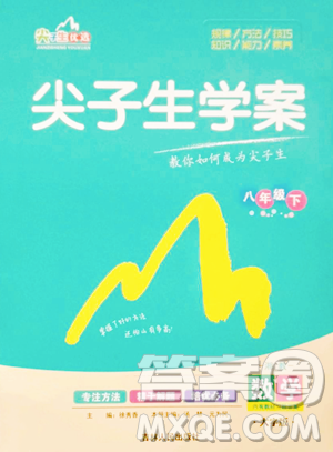 吉林人民出版社2023尖子生学案八年级下册数学湘教版参考答案