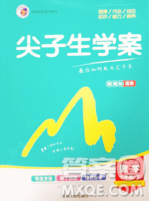 吉林人民出版社2023尖子生学案七年级下册数学冀教版参考答案