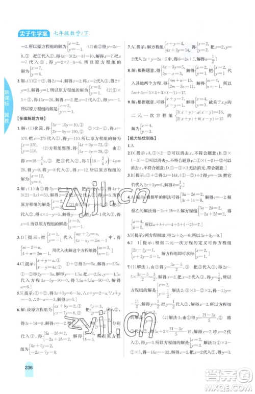 吉林人民出版社2023尖子生学案七年级下册数学冀教版参考答案