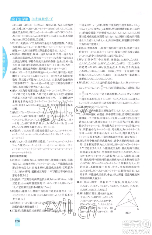 吉林人民出版社2023尖子生学案七年级下册数学冀教版参考答案