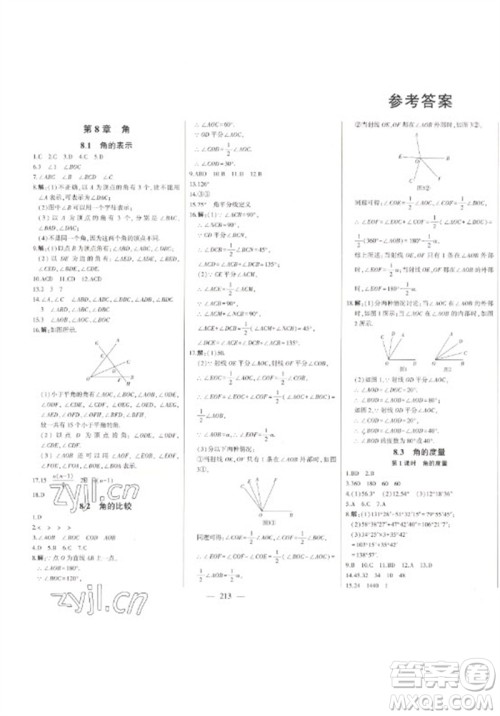 吉林人民出版社2023初中新课标名师学案智慧大课堂七年级数学下册青岛版参考答案